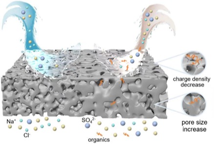 热点文章 | 黄霞团队ES&T：揭示纳滤过程煤化工废水中有机物对氯离子/硫酸根离子分离选择性的重要影响
