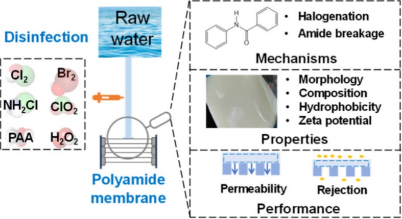 热点文章 | 刘超团队ACS ES&T Engg.：水消毒对聚酰胺膜的影响——原理、性能与展望
