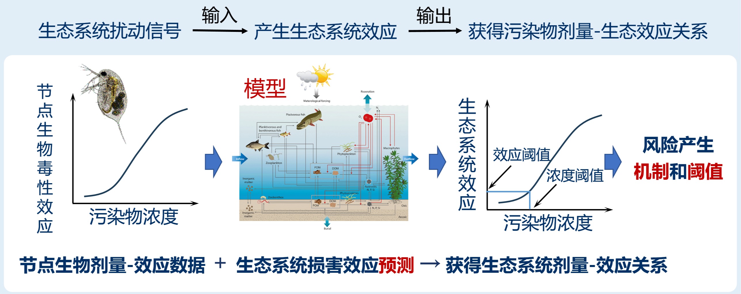 Fundamental Research ｜ 胡洪营等：突破传统局限！基于生态节点生物的水生态阈值推导新框架