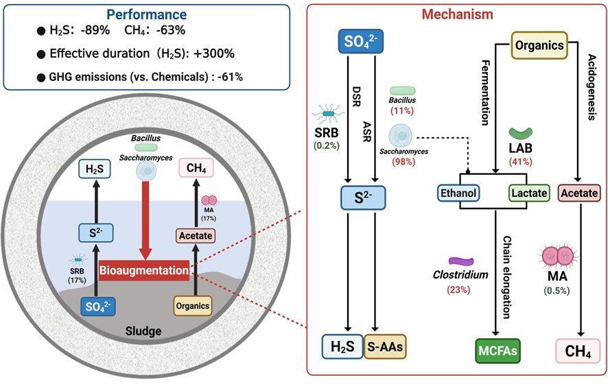 热点文章 | 席劲瑛教授团队WR：污水管网中H2S与CH4源头减排研究取得新进展